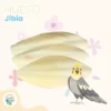 Hueso de Jibia - Calcio Natural